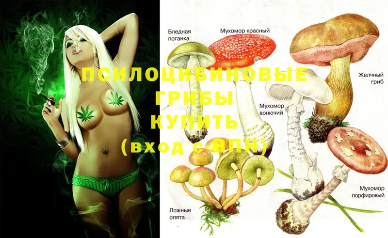 Галлюциногенные грибы Magic Shrooms  shop телеграм  Алупка  как найти закладки 